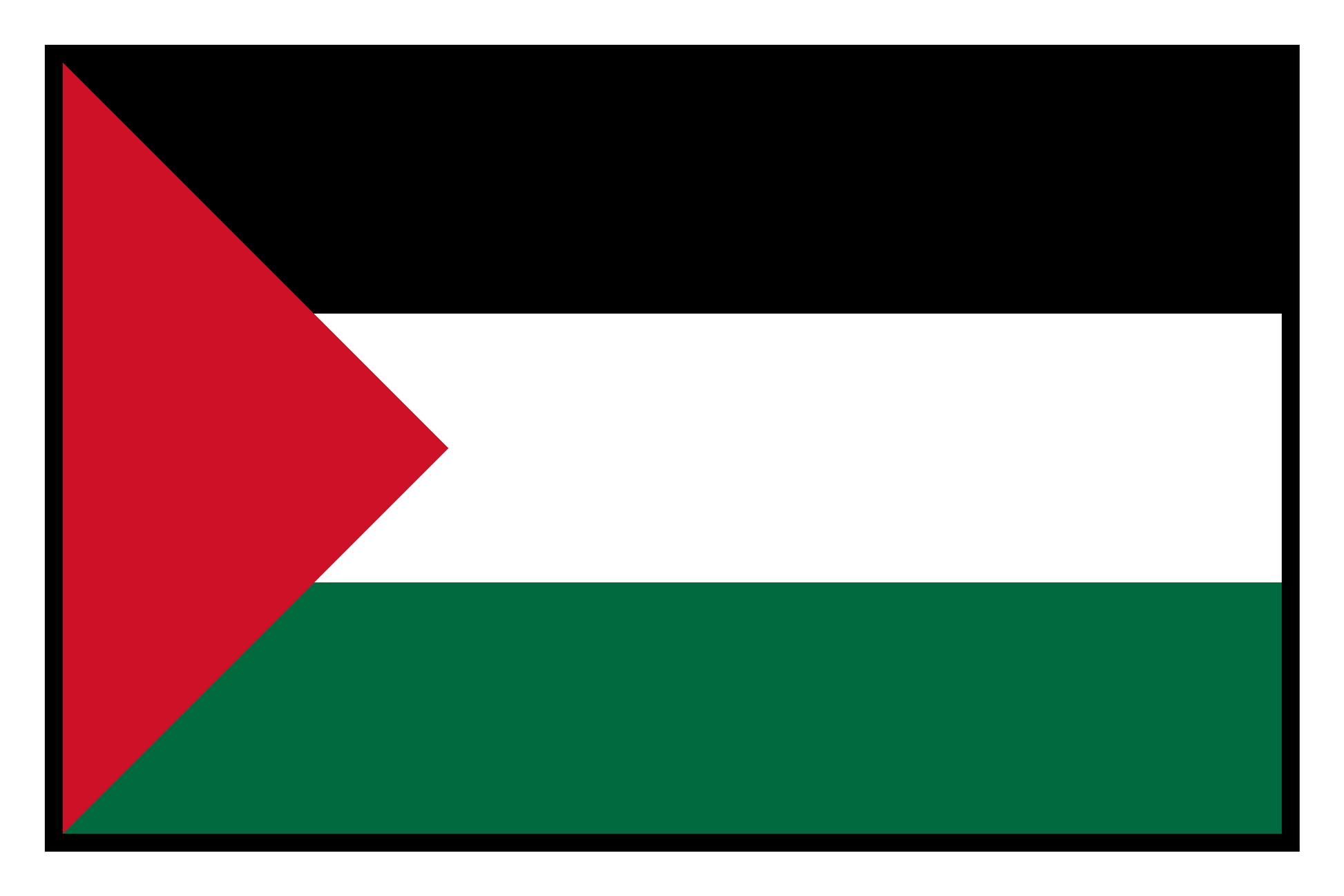 Free Palestine embroidered snapback hat