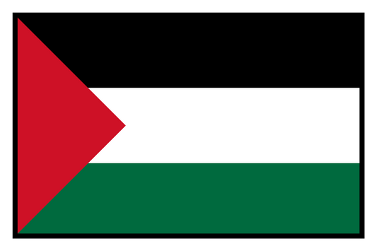 Free Palestine embroidered snapback hat
