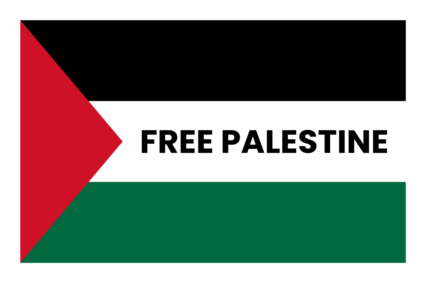 Free Palestine flag graphic hoodie
