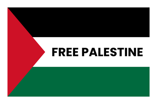 Free Palestine flag graphic hoodie